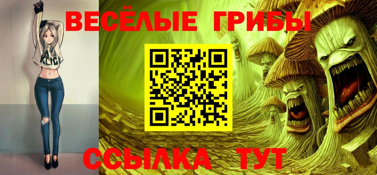 Кулебаки  Псилоцибиновые грибы Psilocybine cubensis  Вход с VPN 